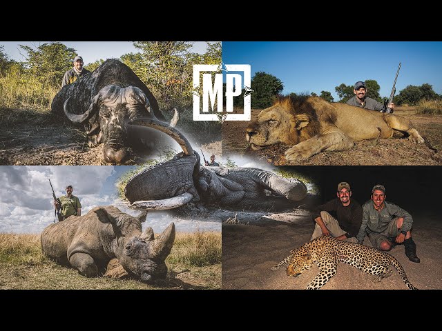 Africa's "Big Five" - Lion, Leopard, Rhino, Elephant, Cape Buffalo | Mark V. Peterson Hunting