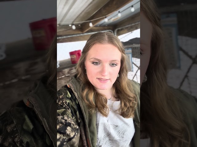 Rabbit Update!🐰 #bunny #foryou #goviral #rabbit #rabbitry #foryourpage #pet #animal #rabbitpro