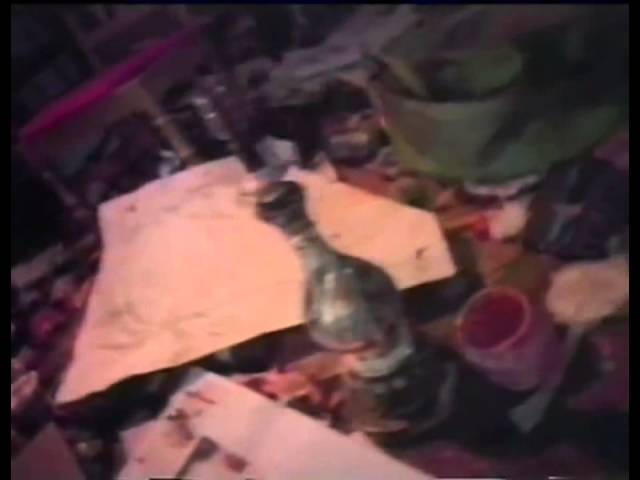 Johnny Depp & Gibby Haynes - "Stuff" (1992)