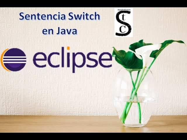 Switch en Java