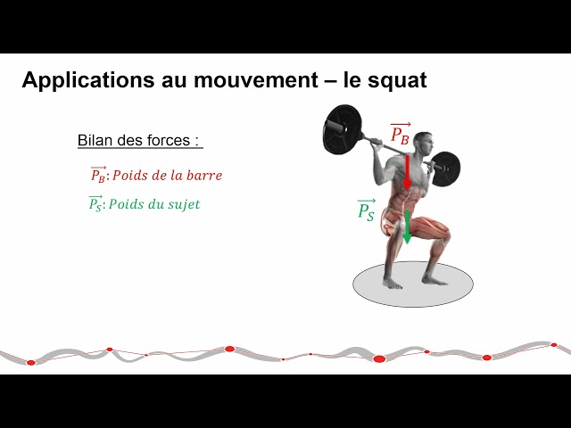 Human Movement: Dynamics