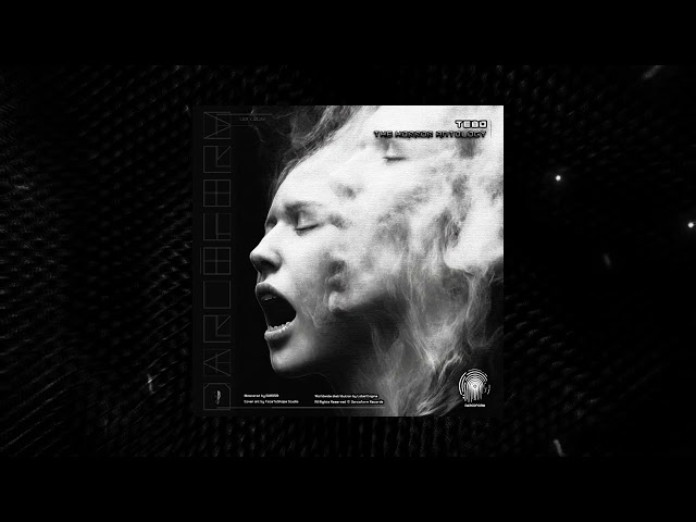 Tebo - The Swamp [DARC039]