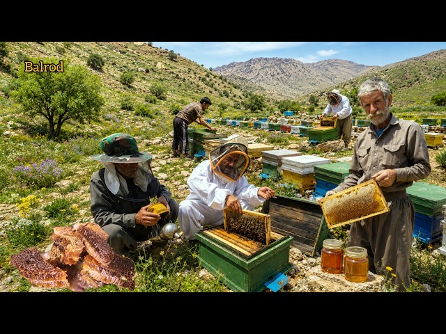 The nomads' secret in harvesting pure honey; the mission of the beekeeping farm and its treasure