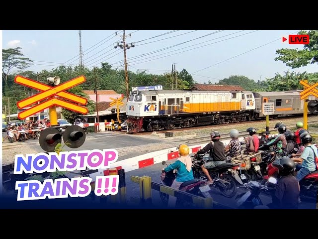 One of Indonesia's Busiest Railroad Crossings | Trains All Day