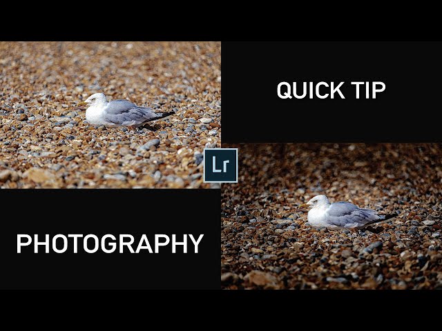 Lightroom Quick Photo Editing Tips - Radial Mask Tool