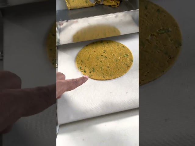 All in One Thepla, Roti, Momos, Papad Machine  #machinewalo