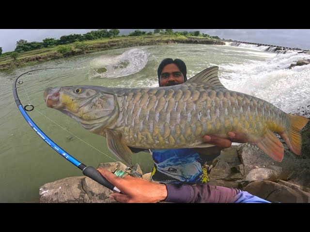 Fishing Techniques 🎣 | Epic Big Mahseer Fish Hunting | Fishing Video | Mahseer Fishing