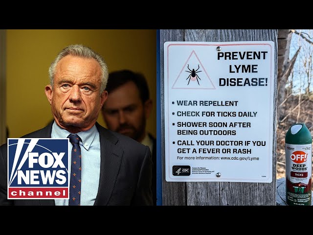 DETAILS: Tick-borne illnesses SURGE across US