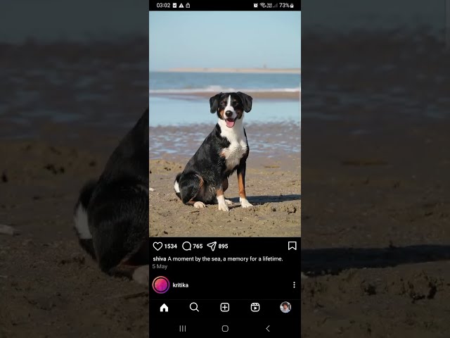 Instagram Clone App Using React Native and TypeScript