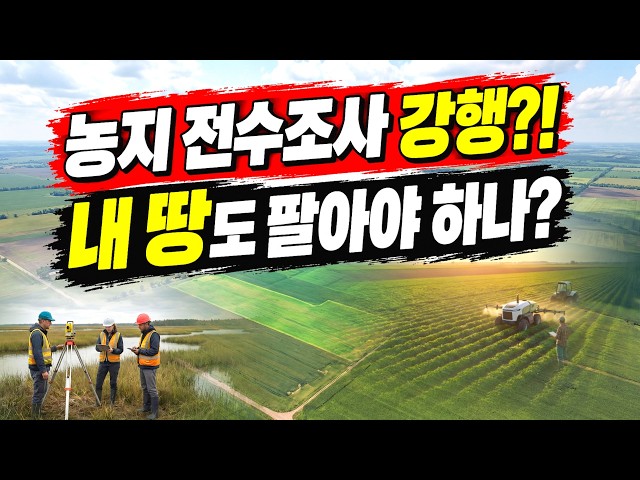 농지 전수조사, 내 땅 정말 팔아야 하나?｜25% 이행강제금부터 특별조치법까지 총정리