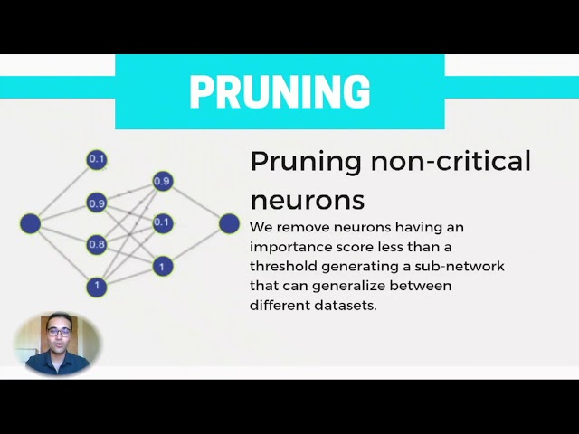 MAIS Poster 19: Optimizing ANN Architectures using Mixed Integer Programming