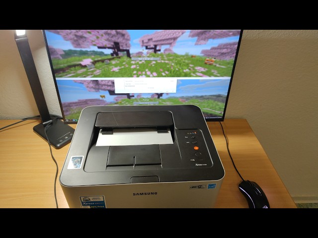 running a minecraft server on a printer 