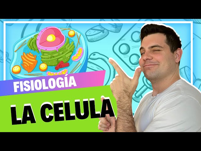 PHYSIOLOGY 🤓 // THE CELL // EASILY EXPLAINED 👀