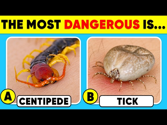 How Good Is Your Knowledge of ANIMALS? 😨😱✅ General Knowledge Trivia Quiz