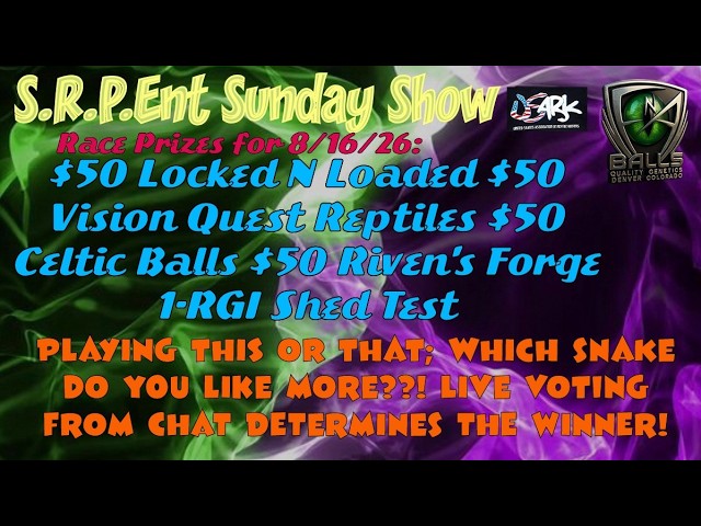 S.R.P.Ent Sunday Show 8/16/26 This or That?!