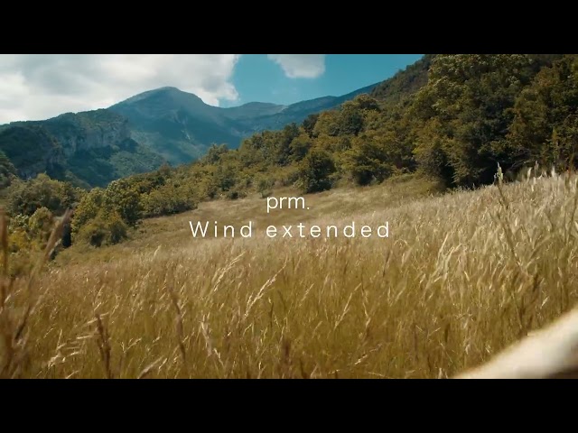 prm. - Wind (Extended Version)