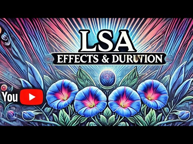 The Effects and Duration of LSA: What You Need To Know