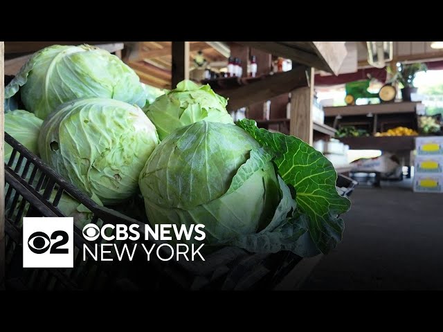 Cyclosporiasis outbreaks pushing more people to shop local, N.J. farmer says