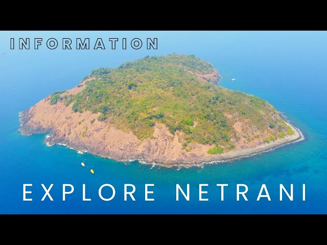 Netrani Island | One stop for all the information |