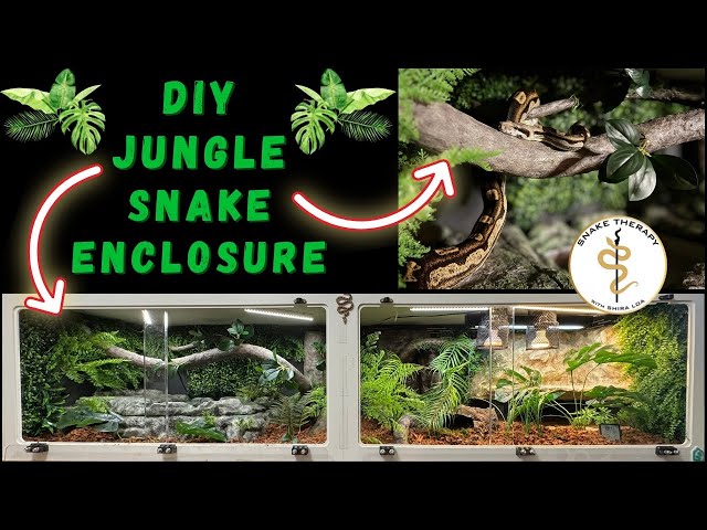 DIY Snake Enclosure Build: Jungle Trees, Hides and Rocks Step by Step