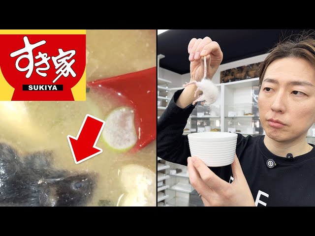 Rat Expert Breaks Down the Mystery of the Sukiya Incident!｜Ball Python