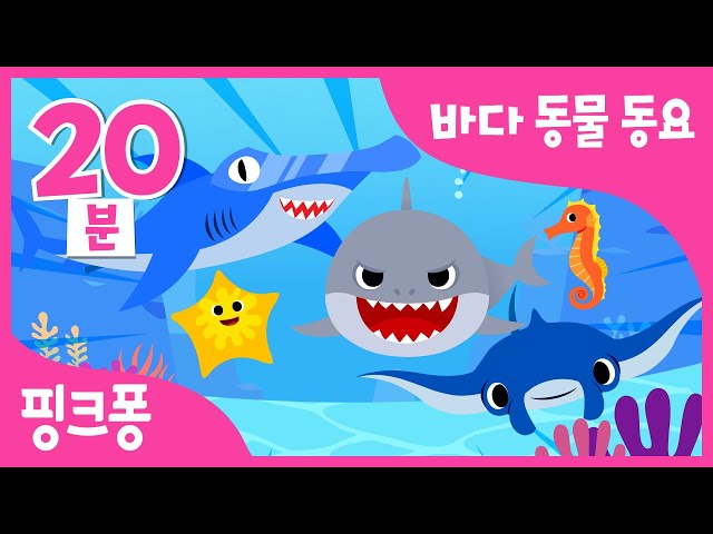바다 동물 동요 모음집 | 바닷속 동물들 함께 모여 노래해요! | 상어, 가오리, 바다거북 외 | 동물동요 | 해양생물 | +모음집 | 핑크퐁! 인기동요