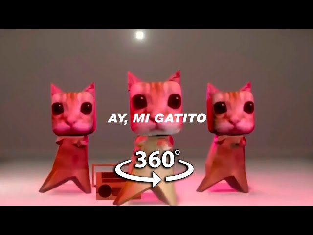 360° VR ay mi gatito miau miau tiktok | MONTAGEM MIAU (Letra)