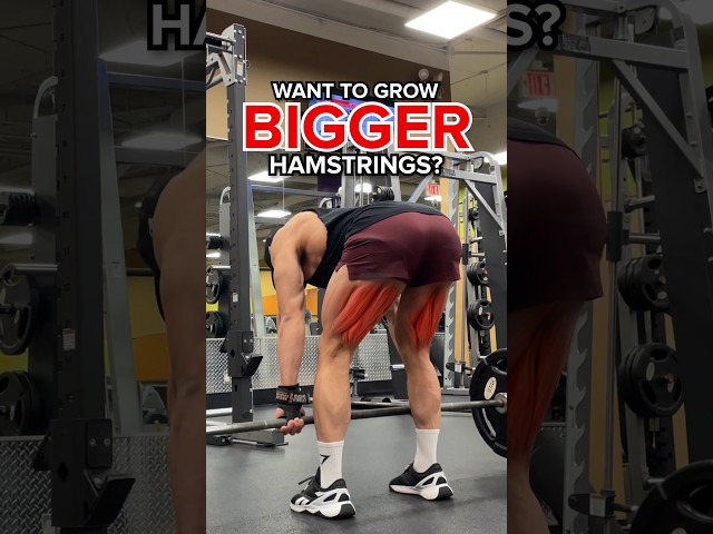 3 BEST Exercises for BIGGER Hamstrings