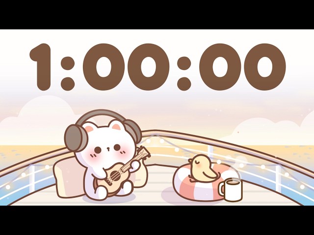 60 Minute Timer 🐱 1 Hour Study Timer for Classroom Focus