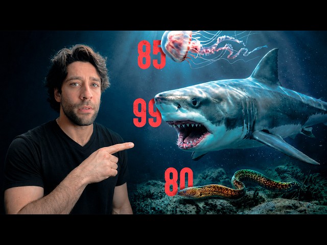 Ranking The Deadliest Ocean Predators (Tier List)