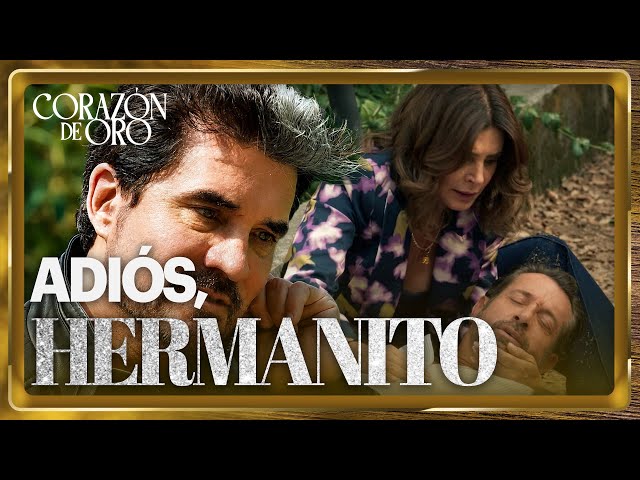 Eugenio mortally wounds Miguel Ángel | Golden Heart 1/4 | FINAL Episode