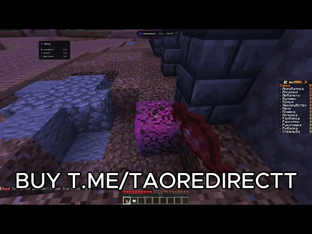 Taonet vs minecraft server (protected) | HOW TO CRASH ANY MINECRAFT SERVER