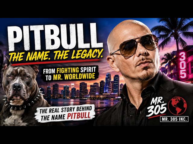 How Pitbull Got His Name and Became Mr  Worldwide