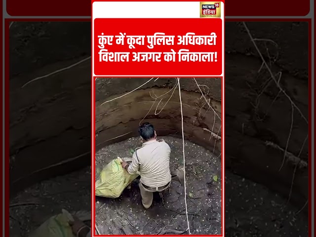 Cop Jumps Into Well, Pulls Out Giant Python! कुंए में कूदा पुलिस अधिकारी, विशाल अजगर को निकाला!