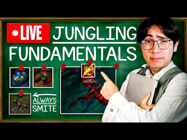 Jungle Educational + TIPS