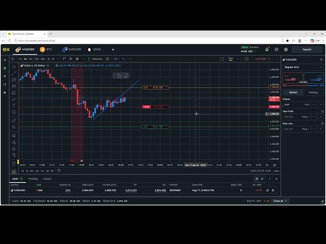 LIVE BTC