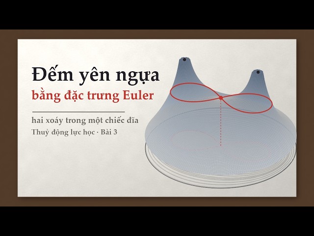 Thuỷ động lực học — Bài 3: Đếm yên ngựa bằng đặc trưng Euler · hai xoáy trong một chiếc đĩa