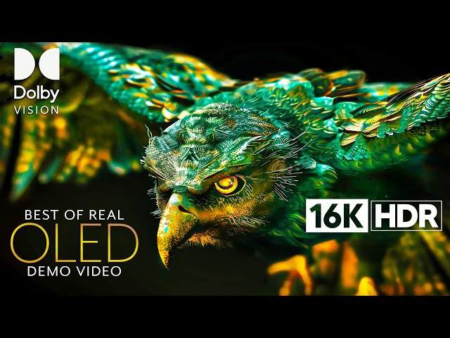 16K Video ULTRA HD - 16K HDR Dolby Vision (4K/8K TV)
