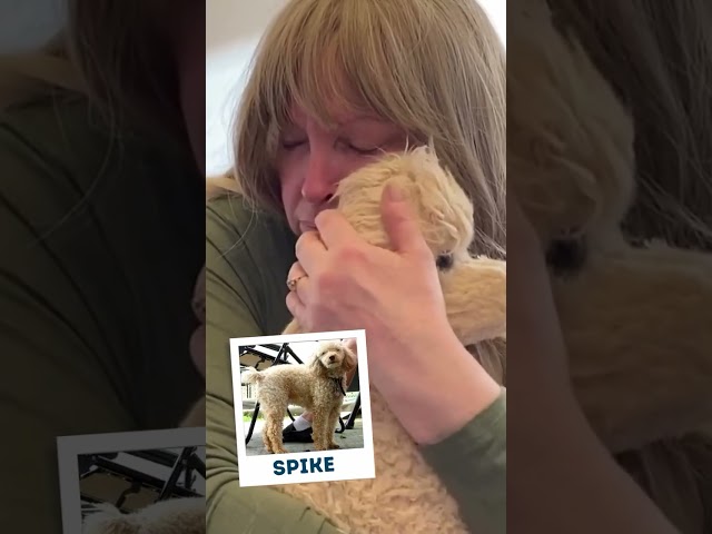 Unboxing Custom Stuffed Animals Of Their Past Pets | MyPetsies©