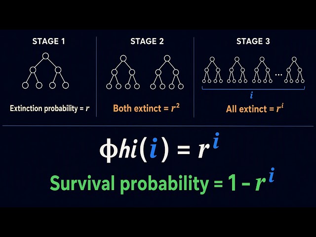 Markov Chains Explained Simply part 3 | Branching Processes & Extinction Probability Explained