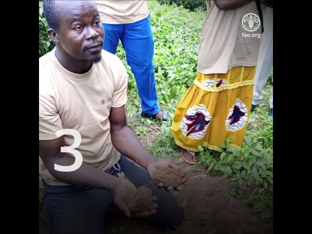 Saving soils and empowering farmers through the Global Soil Doctors Programme