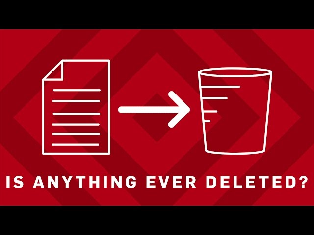 Are Files Ever REALLY Deleted? | Earth Science