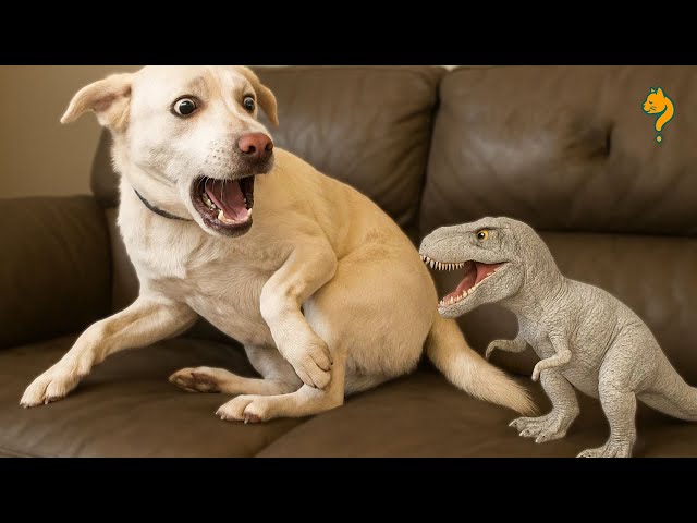 Funniest Animal Videos Ever | 2025 Edition 😂