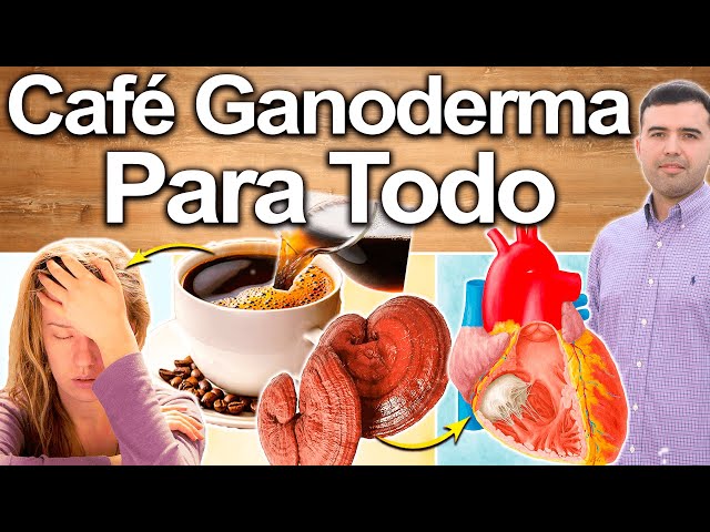 Café Ganoderma Para Todo! - Para Qué Sirve? - Beneficios Para Tu Salud Y Belleza