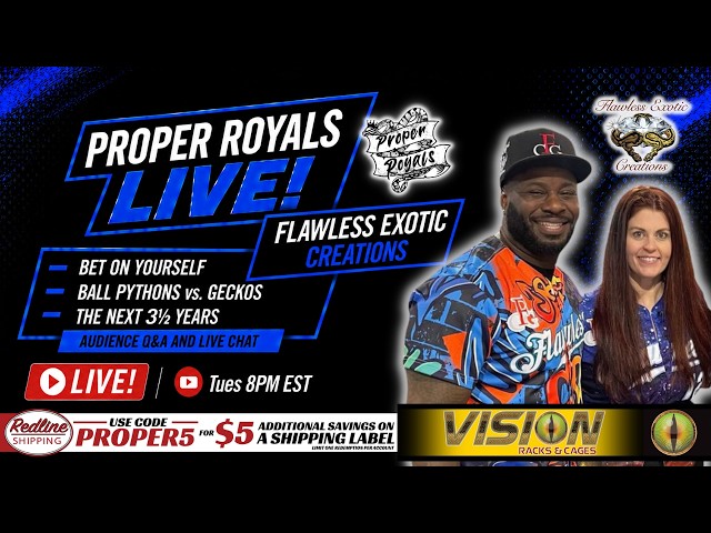 Bet On Yourself: Ball Pythons, Geckos & What Comes Next | Flawless Exotic Creations 📱