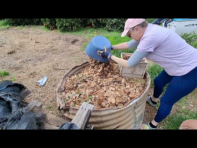 DIY Compost Part 2