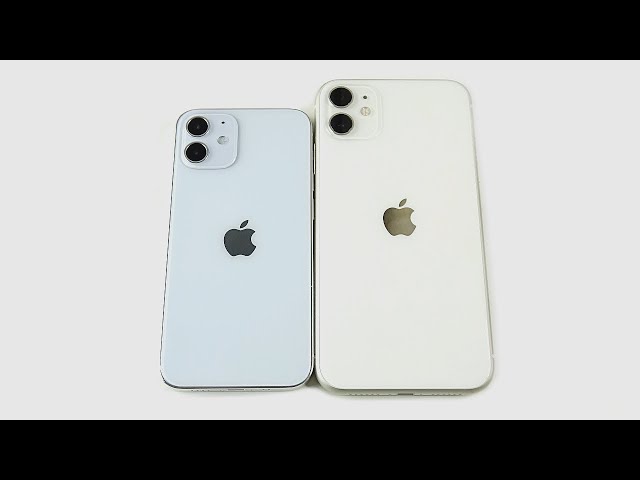 iPhone 12 Mini Size vs iPhone 11