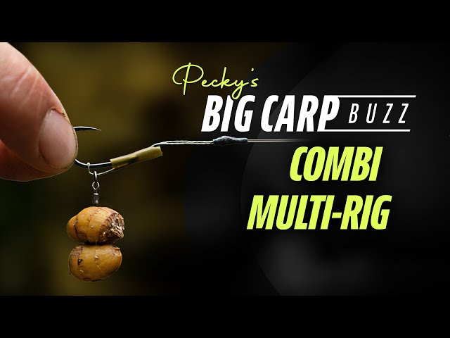Darrell Pecks Big Carp Buzz - Combi Multi Rig (As seen on Wasing)
