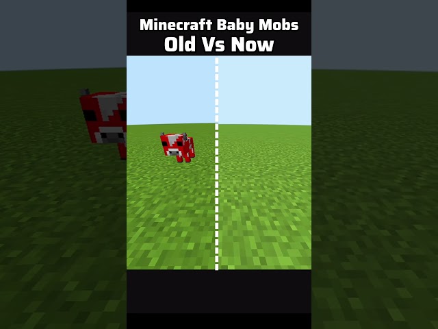 Minecraft Baby Mobs Update Moment 🍼🐣