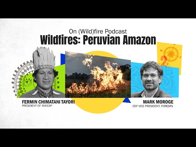 On (Wild)fire Podcast | Episode 02 | Wildfires in a changing environment at the Peruvian Amazon
